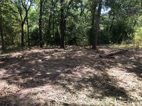 000 Briarwood Ln, Kemp, TX 75143