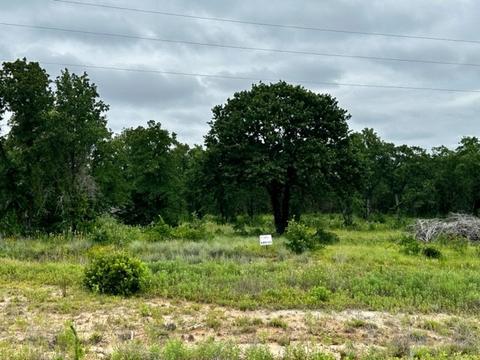 295 Rolling Hills Blvd, Alvord, TX 76225
