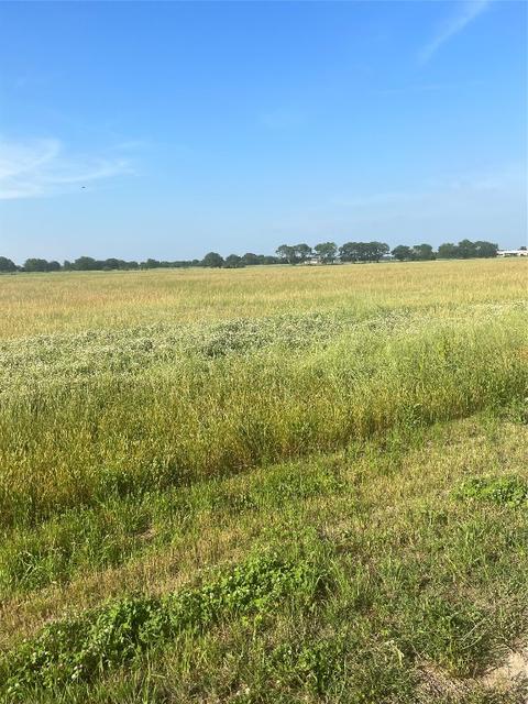 19790 Fm 47, Wills Point, TX 75169