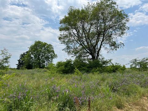 2255 County Road 4225, Enloe, TX 75441