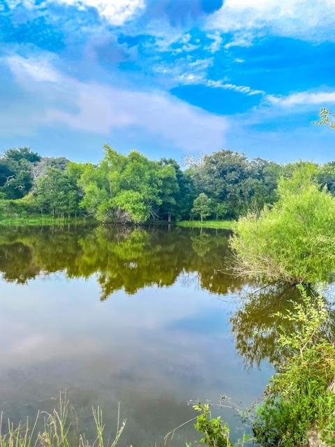 Tbd Fm 39 South, Jewett, TX 75846