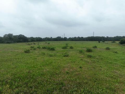 Tbd County Road 275, Stephenville, TX 76401