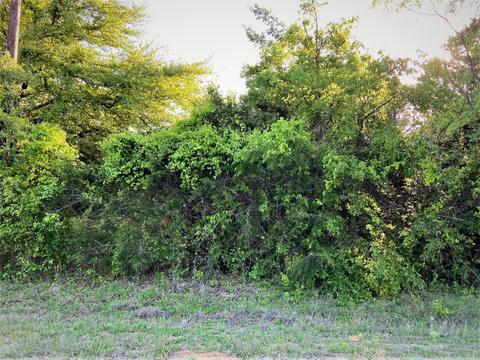 10004 Crestridge Dr, Whitney, TX 76692