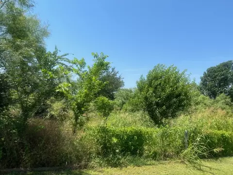 00 Sturdivant, Mineral Wells, TX 76067