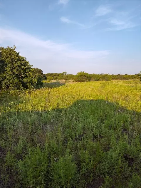 20 Acres County Road 123, Ranger, TX 76470