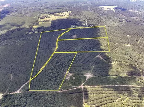 00 County Road 1325, Woodville, TX 75979