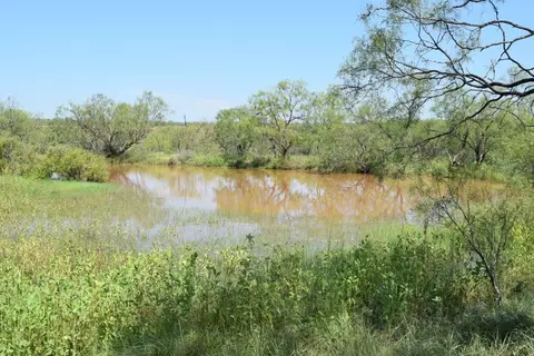 Tbd Fm 2131 Road, Coleman, TX 76834