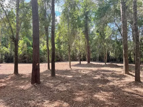 00 Cr 4520 Rd, Woodville, TX 77664