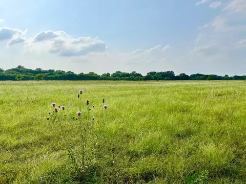 Tbd Fm 815, Leonard, TX 75452
