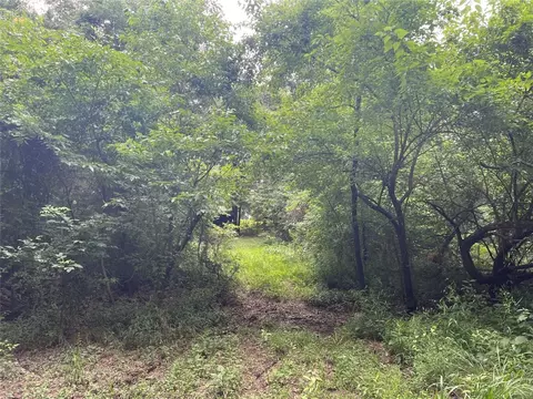 Tbd County Rd 2125, Ivanhoe, TX 75447 photo 14