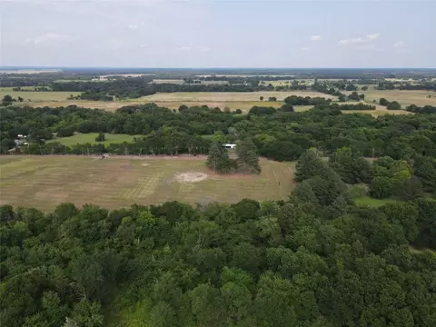 Tbd County Rd 2125, Ivanhoe, TX 75447 photo 6