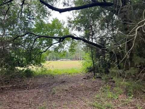 Tbd County Rd 2125, Ivanhoe, TX 75447 photo 17