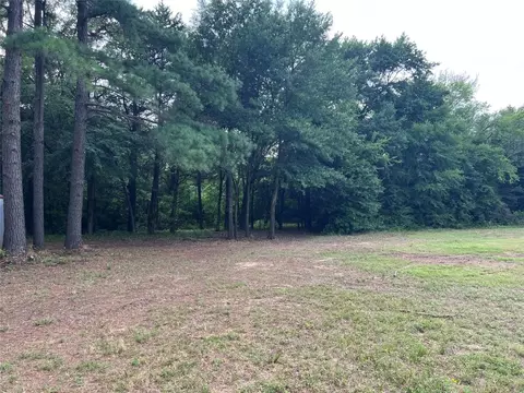Tbd County Rd 2125, Ivanhoe, TX 75447 photo 9