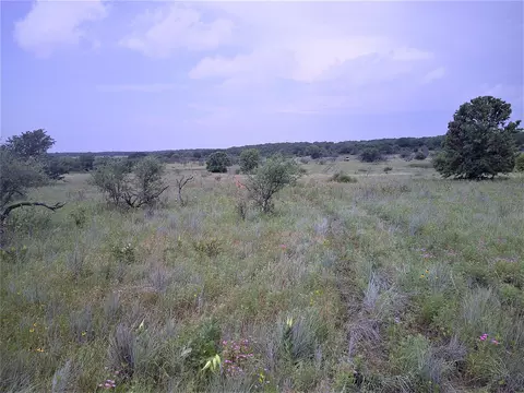Tr 3 4 Wire, Bowie, TX 76230