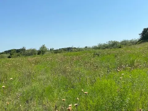 00 County Rd 105, Comanche, TX 76442 photo 6