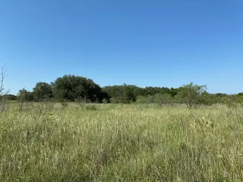 00 County Rd 105, Comanche, TX 76442 photo 3