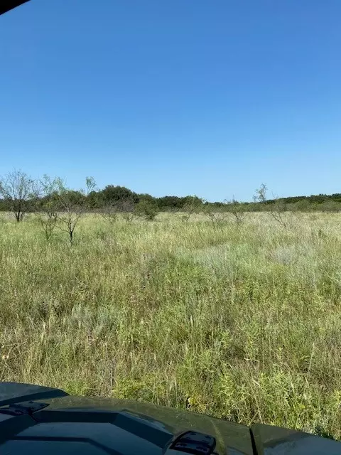 00 County Rd 105, Comanche, TX 76442 photo 11