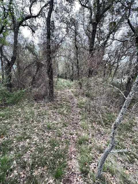 7122 Ardee Dr, Brownwood, TX 76801