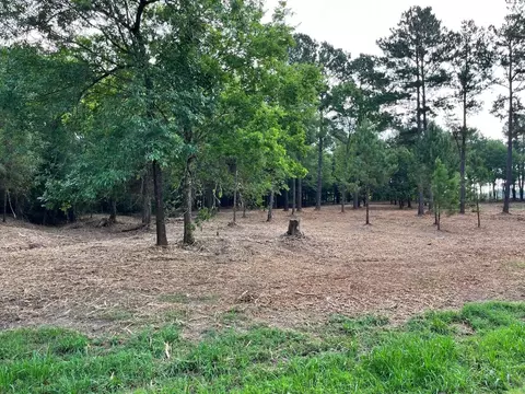 5392 Grand View Dr, Athens, TX 75752