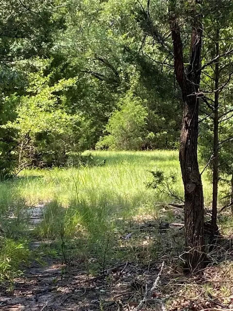 Lot 17 Private Road 2410, Quinlan, TX 75474