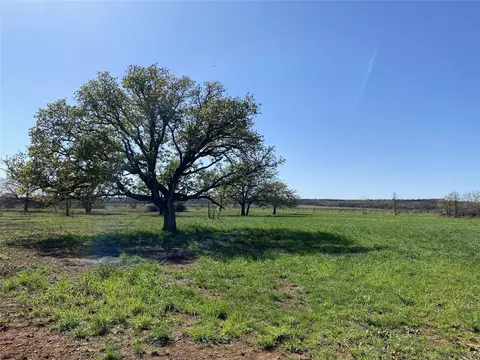 Tract 3 Co Road 323, Carbon, TX 76435