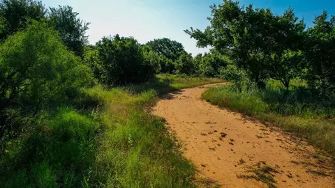 Tbd Prideaux Road, Windthorst, TX 76389 photo 31
