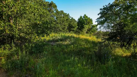 Tbd Prideaux Road, Windthorst, TX 76389 photo 29