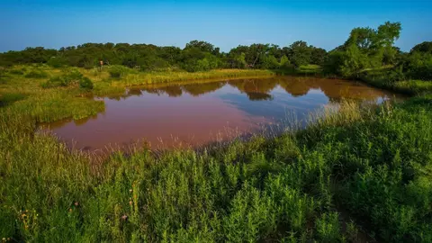 Tbd Prideaux Road, Windthorst, TX 76389