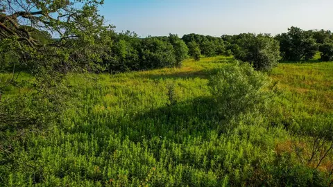Tbd Prideaux Road, Windthorst, TX 76389 photo 8