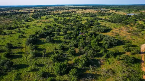 Tbd Prideaux Road, Windthorst, TX 76389 photo 18