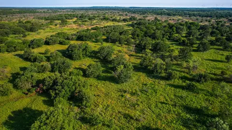 Tbd Prideaux Road, Windthorst, TX 76389 photo 17