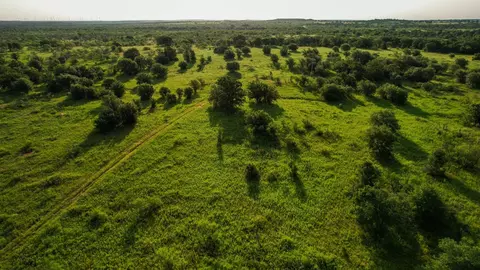 Tbd Prideaux Road, Windthorst, TX 76389 photo 2