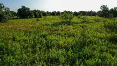 Tbd Prideaux Road, Windthorst, TX 76389 photo 3