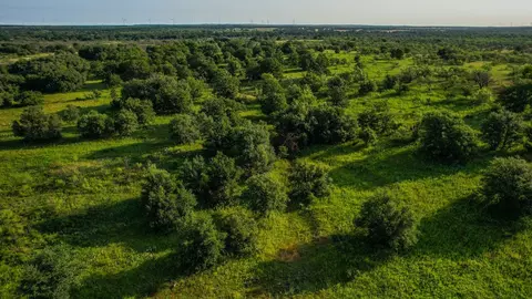 Tbd Prideaux Road, Windthorst, TX 76389 photo 7
