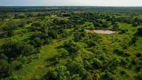 Tbd Prideaux Road, Windthorst, TX 76389 photo 13