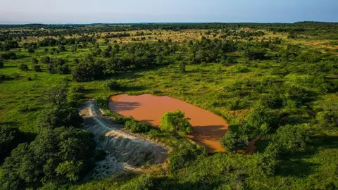 Tbd Prideaux Road, Windthorst, TX 76389 photo 6