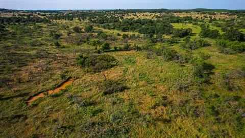 Tbd Prideaux Road, Windthorst, TX 76389 photo 27