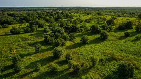 Tbd Prideaux Road, Windthorst, TX 76389 photo 5