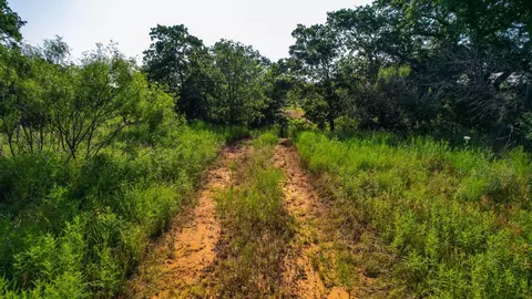 Tbd Prideaux Road, Windthorst, TX 76389 photo 28