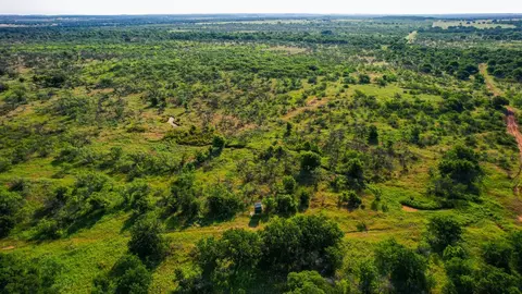 Tbd Prideaux Road, Windthorst, TX 76389 photo 25