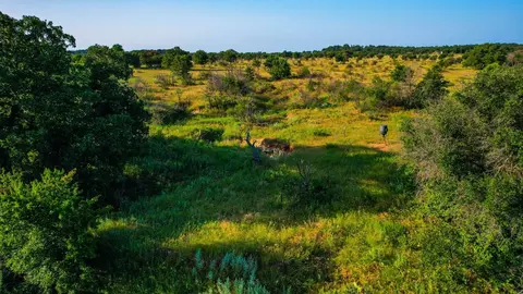Tbd Prideaux Road, Windthorst, TX 76389 photo 12