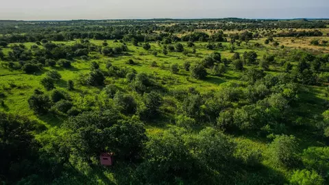 Tbd Prideaux Road, Windthorst, TX 76389 photo 4