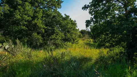 Tbd Prideaux Road, Windthorst, TX 76389 photo 30