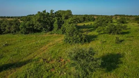 Tbd Prideaux Road, Windthorst, TX 76389 photo 10