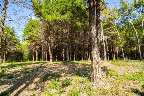 Tbd Lot 1 County Road 4173, Tyler, TX 75704