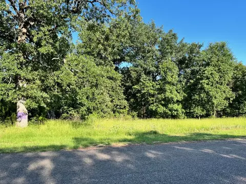 Lt 33 Zebra Crossing, Larue, TX 75770