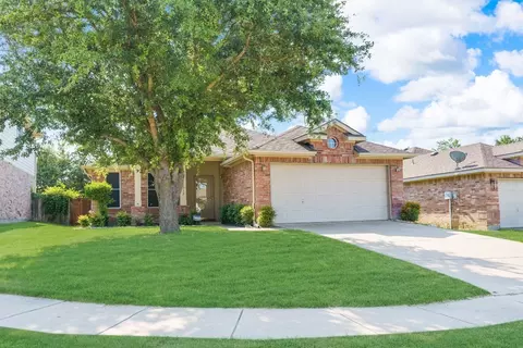1513 Black Maple Dr, Anna, TX 75409