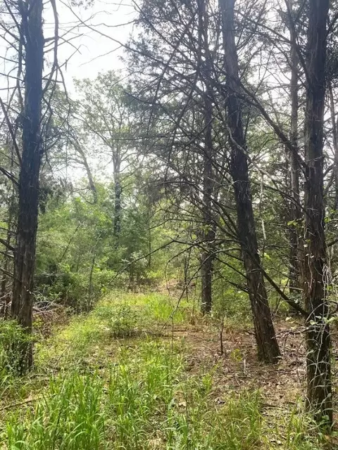 Tbd Fcr 240, Fairfield, TX 75840