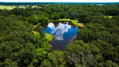 Tbd County Road 1350, Quitman, TX 75783