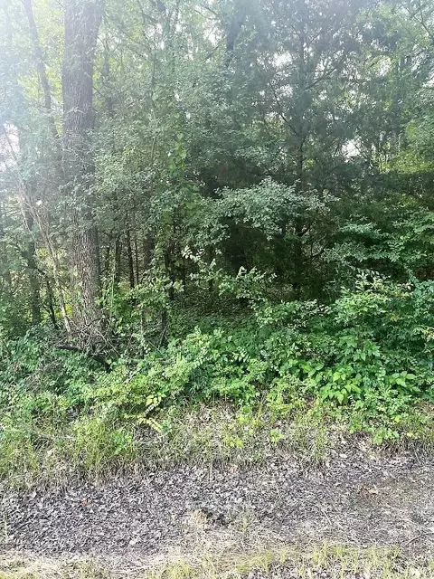 00 Quail Run Rd, Trinidad, TX 75163